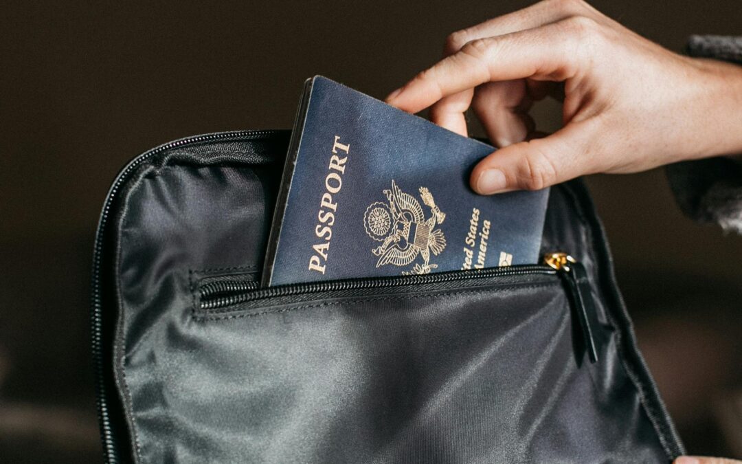 IRS Urges Travelers Requiring Passports to Pay Their Taxes or Enter into Payment Agreements; (People Owing More than $50,000)