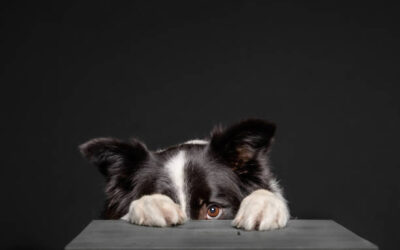 Fear of Filing Tax Returns and Unclaimed Tax Refunds