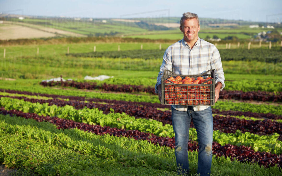 Tips for Farmers and Farm Tax Returns